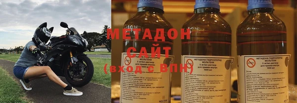 шишки Абаза
