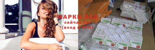 шишки Абаза