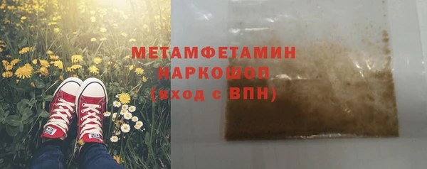 шишки Абаза
