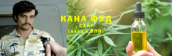 шишки Абаза