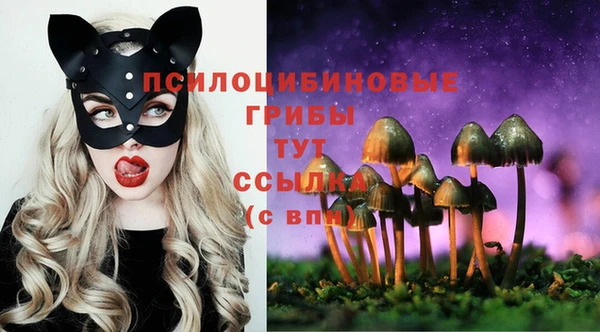 тгк Абинск