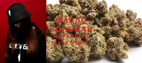 шишки Абаза