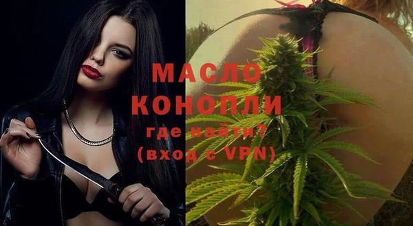 шишки Абаза