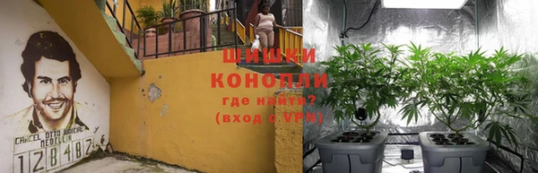 шишки Абаза