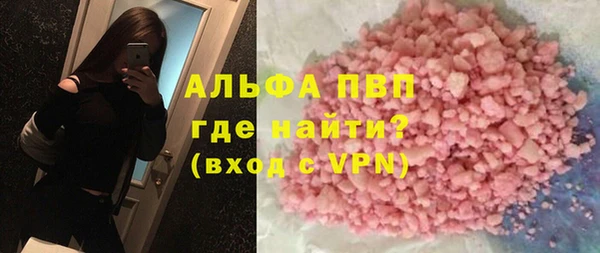 шишки Абаза