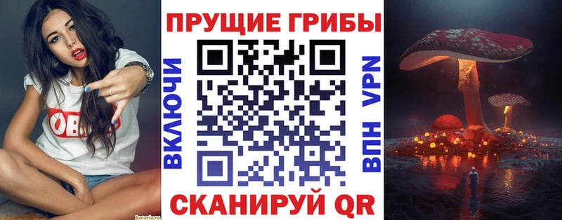 Галлюциногенные грибы MAGIC MUSHROOMS  Кинешма 